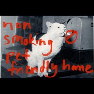 NON SMOKING PET FRIENDLY HOME